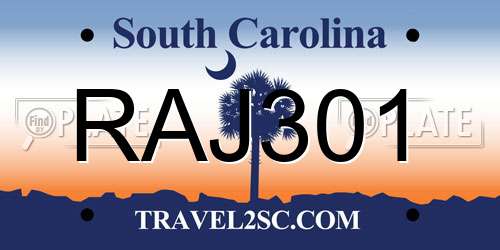RAJ301 South Carolina License Plate