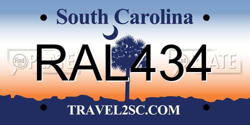 RAL434 South Carolina License Plate