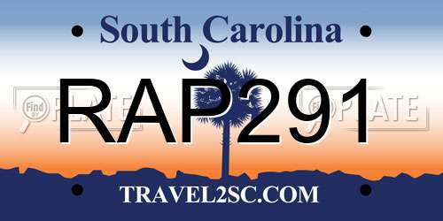 RAP291 South Carolina License Plate