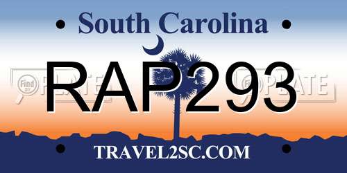 RAP293 South Carolina License Plate