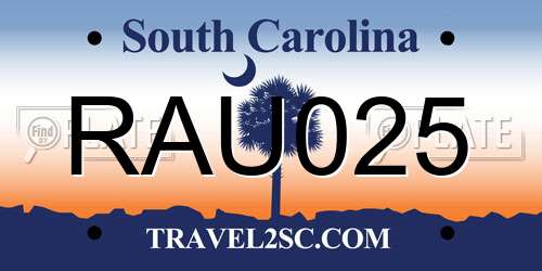 RAU025 South Carolina License Plate