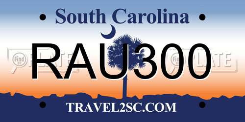 RAU300 South Carolina License Plate