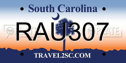 RAU307 South Carolina License Plate