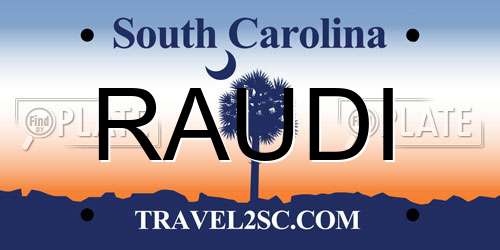 RAUDI South Carolina License Plate