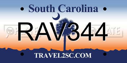 RAV344 South Carolina License Plate