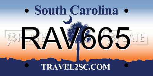 RAV665 South Carolina License Plate