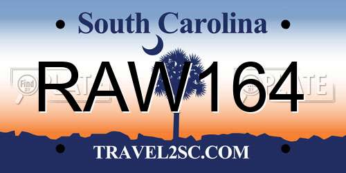 RAW164 South Carolina License Plate