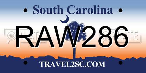 RAW286 South Carolina License Plate
