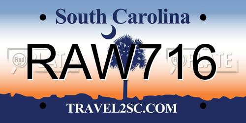 RAW716 South Carolina License Plate