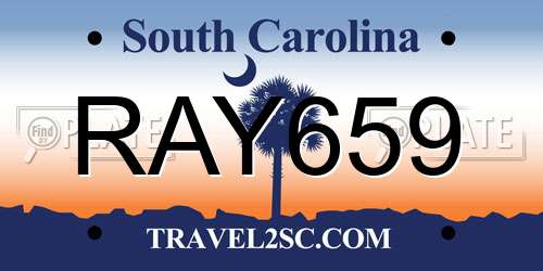 RAY659 South Carolina License Plate