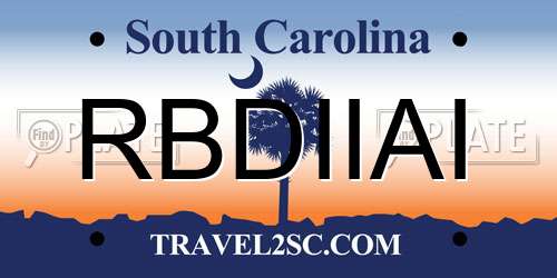 RBDIIAI South Carolina License Plate