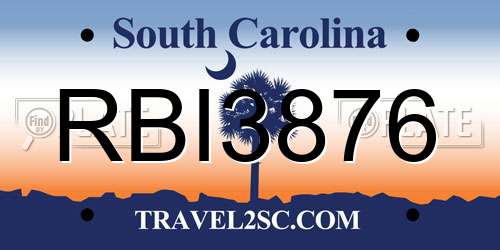 RBI3876 South Carolina License Plate