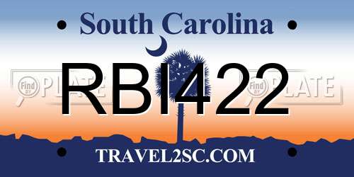 RBI422 South Carolina License Plate