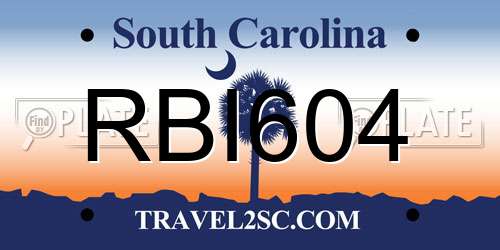 RBI604 South Carolina License Plate