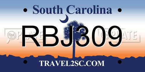 RBJ309 South Carolina License Plate