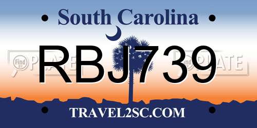 RBJ739 South Carolina License Plate
