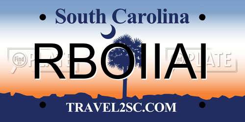 RBOIIAI South Carolina License Plate