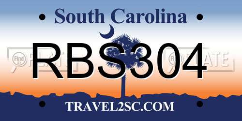 RBS304 South Carolina License Plate