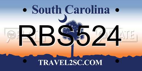RBS524 South Carolina License Plate