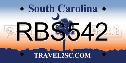RBS542 South Carolina License Plate