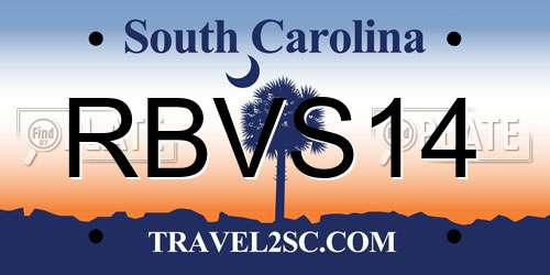 RBVS14 South Carolina License Plate
