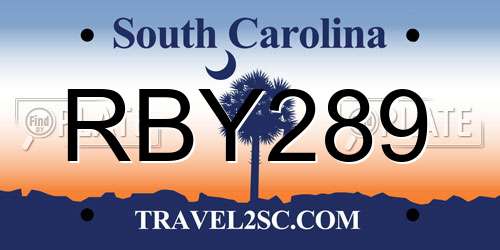 RBY289 South Carolina License Plate