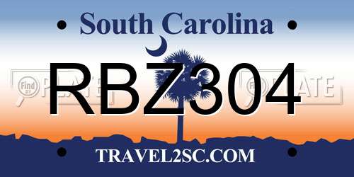 RBZ304 South Carolina License Plate