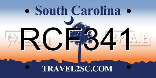 RCF341 South Carolina License Plate