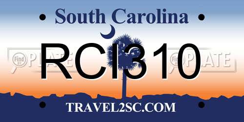 RCI310 South Carolina License Plate