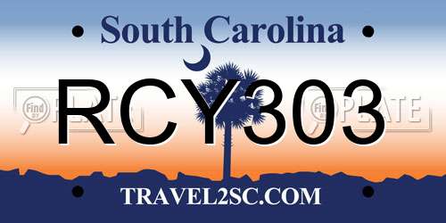 RCY303 South Carolina License Plate