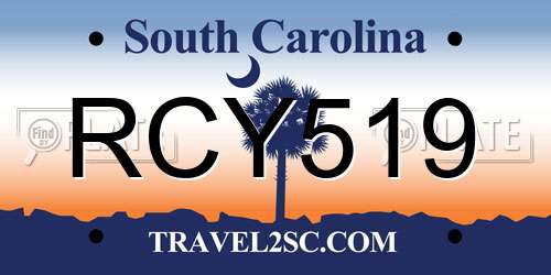 RCY519 South Carolina License Plate