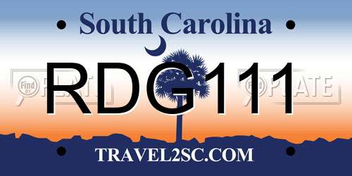 RDG111 South Carolina License Plate