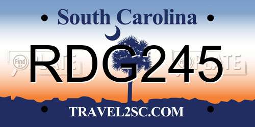 RDG245 South Carolina License Plate