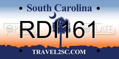 RDI161 South Carolina License Plate