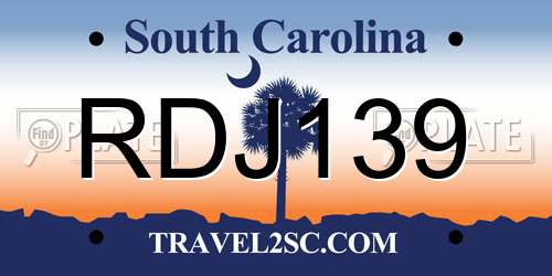 RDJ139 South Carolina License Plate