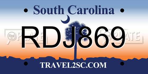 RDJ869 South Carolina License Plate