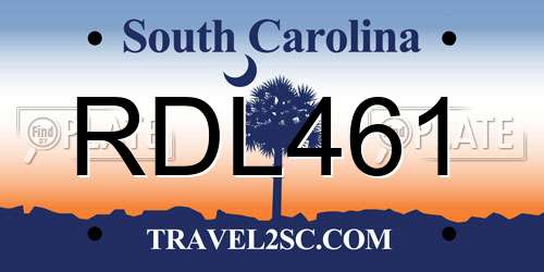 RDL461 South Carolina License Plate