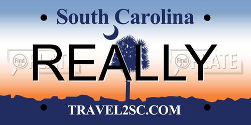 REALLY South Carolina License Plate