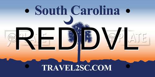 REDDVL South Carolina License Plate