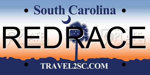 REDRACE South Carolina License Plate