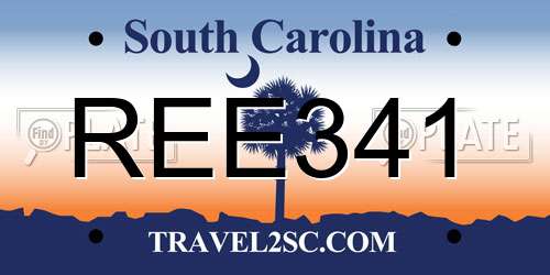 REE341 South Carolina License Plate