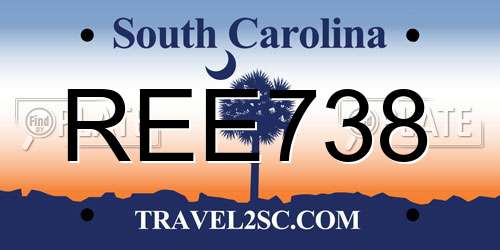 REE738 South Carolina License Plate