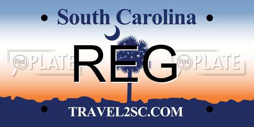 REG South Carolina License Plate