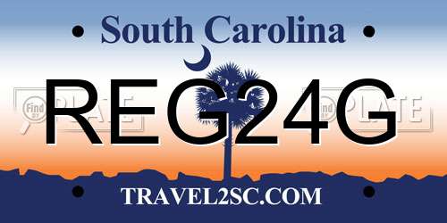 REG24G South Carolina License Plate