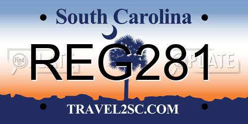 REG281 South Carolina License Plate