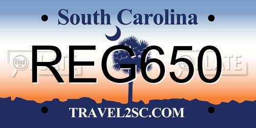 REG650 South Carolina License Plate