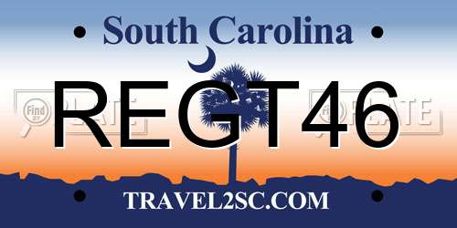 REGT46 South Carolina License Plate