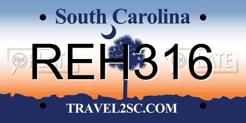 REH316 South Carolina License Plate