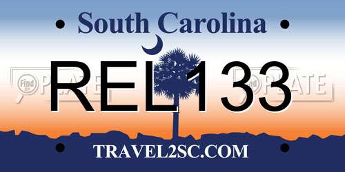 REL133 South Carolina License Plate