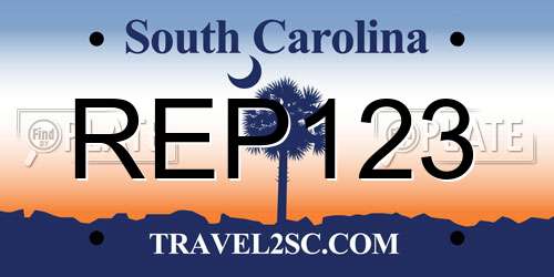 REP123 South Carolina License Plate
